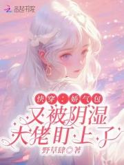 娇气包快穿免费阅读