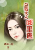 总裁大人哪里跑