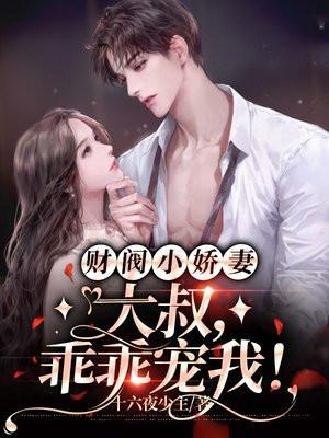 财阀小娇妻大叔乖乖宠我
