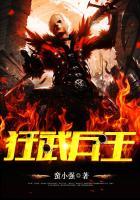 狂武兵王 聚合中文网