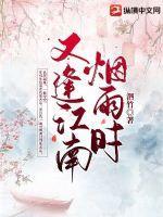 又见江南烟雨时