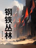 钢铁森林是哪