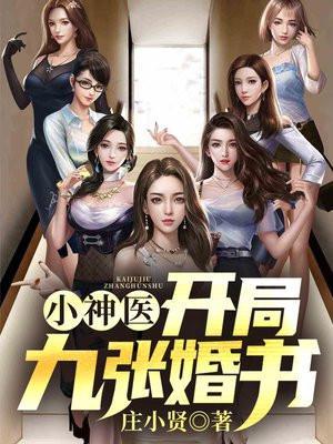 小神医开局九张婚书全文TXT