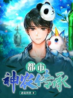 神农传承叶风免费阅读