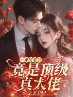 二婚老公实力宠免费阅读