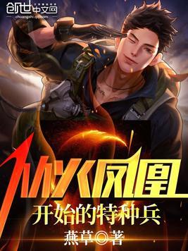 特种兵从火凤凰开始秦天最新章节免