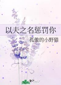 以夫之名