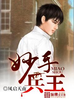 妙手兵王甜蜜蜜2原著
