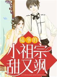 陆爷的小祖宗又撩又飒阅读