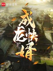 乘龙快婿免费阅读