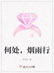 何曾烟雨落盛京