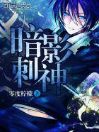 暗影刺客w