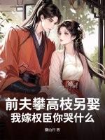 前夫总想夫凭子贵