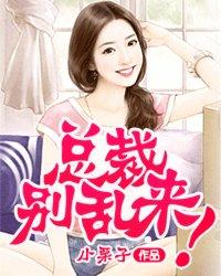 总裁别乱来前夫
