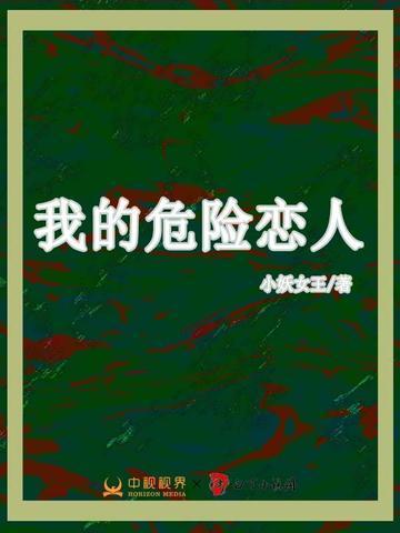 我的危险夫人剧情