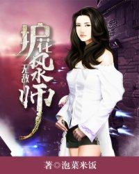 护花风水师免费