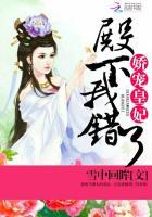 娇宠皇妃殿下我错了