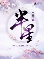 半星丁墨免费阅读