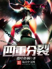 四重分裂贴吧