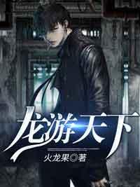 龙游天下剧情介绍分集