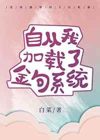 自从我加载了金句系统258