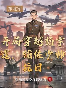 辅佐少帅抗日 第43章