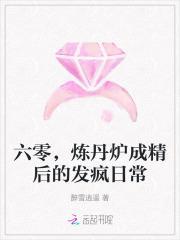 炼丹炉成精后的发疯日常 醉雪逍遥