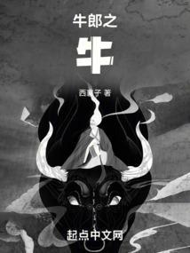 牛郎之牛西襄子