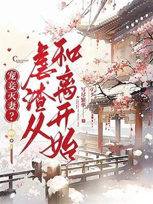 宠妾灭妻虐渣从和离开始