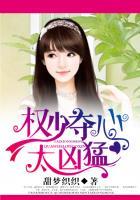 逃爱手册权少夺心太凶猛免费阅读