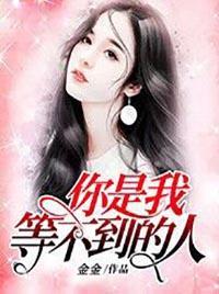 你是我等不到的人李宗盛歌词