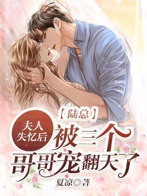 夫人陆总又上热搜了