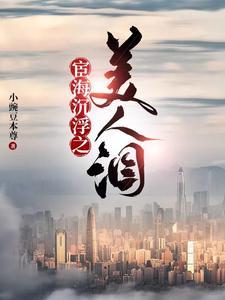 宦海沉浮之美人泪为什么不更新