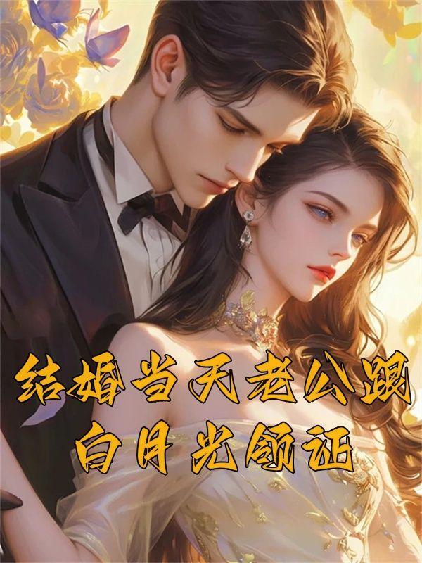 结婚当天老公跟白月光领证林落