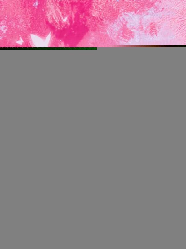 生孩子老公送的花怎么发朋友圈