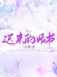 迟来的婚礼电视剧演员表