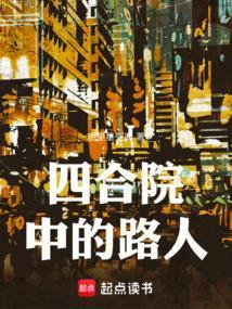 四合院中的路人笔趣阁TXT