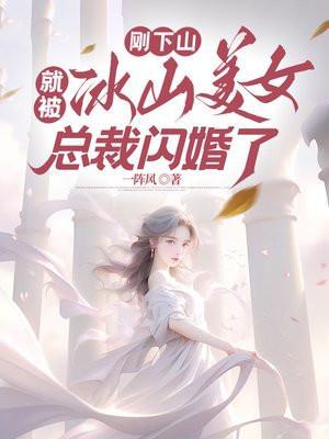 我的冰山美女总裁全文免费阅读