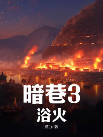 暗巷3浴火叫什么