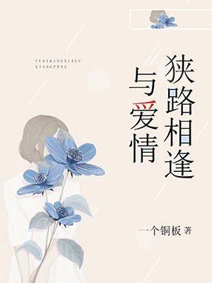 与爱情狭路相逢全文阅读