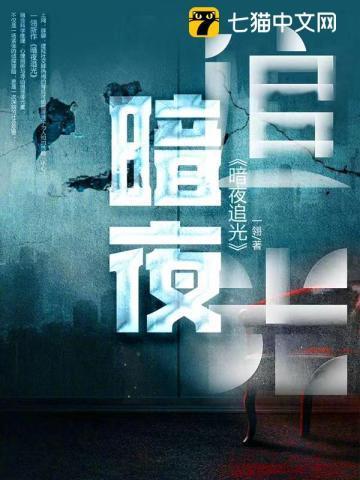 暗夜追光毒网缉凶录