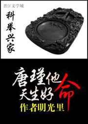 科举兴家唐瑾他天生好命第二部