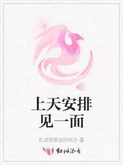 上天安排见一面的成语