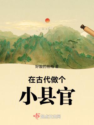 在古代做个小县官有男主吗
