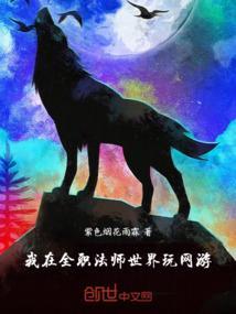 我在全职法师世界稳健不