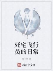 死宅飞行员的日常百度百科
