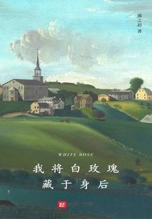 我将玫瑰藏于身后下一句