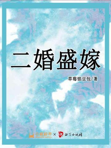 二婚盛嫁蓝小棠目录