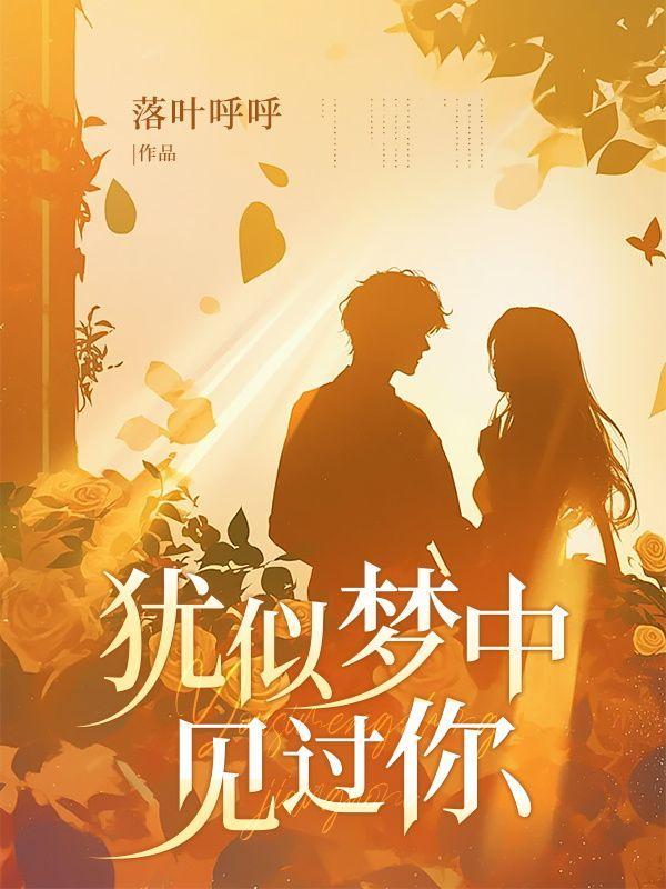 梦里似曾相见的歌词