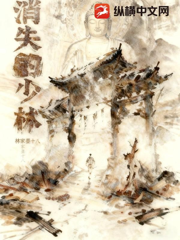 少林丢失的武功秘籍是